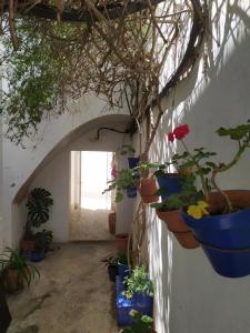 Azotea vistas a 5m de la playa. Recién restaurado