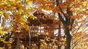 Appartements La cabane des Fayards : photos des chambres