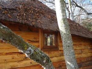 Appartements La cabane des Fayards : photos des chambres