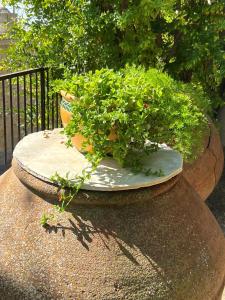 Cosy Piano village cottage in Pachna