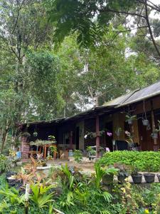 Phòng Giường Đôi Hạng Bình Dân (Budget Double Room)