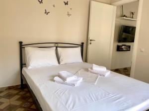 Dafnis home is in 200m to metro Ag Ioanis