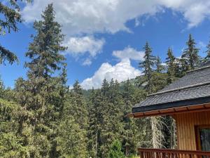 Appartement 3 pièces pour 6 pers. à Méribel Altiport, proche pistes ski - FR-1-411-706