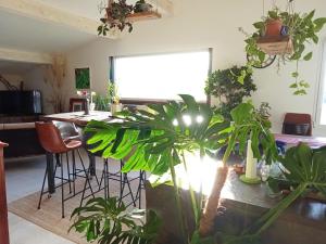 Appartements logement de charme avec piscine et jacuzzi : photos des chambres