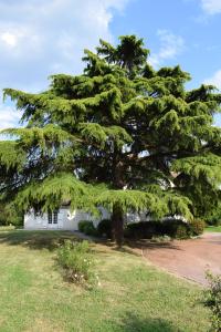 Maisons de vacances Le Domaine de Baracas 4 etoiles - Le Grand et le Petit Gite - piscine-SPA-billard-baby-foot-cheminee - 18 personnes : photos des chambres