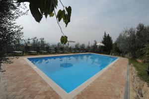 Gli Oleandri