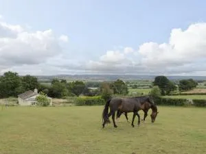 Palace Bungalow - Broad Oak