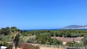 Appartements Porticcio Vacations - Terrasse, Piscine, Jacuzzi, Clim - by TGB : photos des chambres