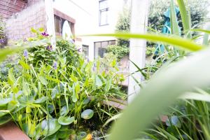 B&B Brouwersvaart
