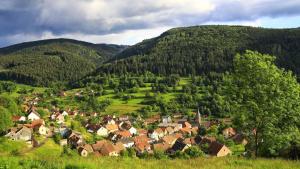 Maisons de vacances Gite du Loup : photos des chambres