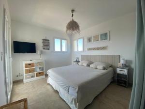 Villas Villa de charme a louer en Corse, piscine chauffee : photos des chambres