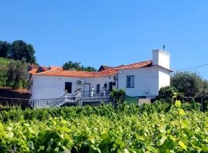 Casa Cecí Douro - Mártir