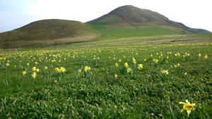 Résidence Le Castel Médicis