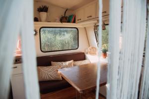 Wilcze Pole - tu odpoczniesz od świata