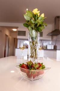 Apartma Sofija, Moravski Dvori