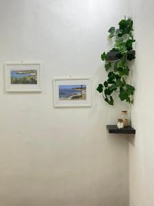 Monolocale Vicino al Mare img10