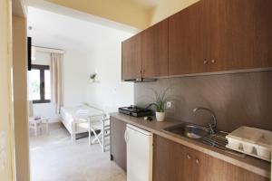 Asterias Skyros Greece