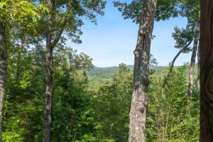 Mountain Rivers Lodge