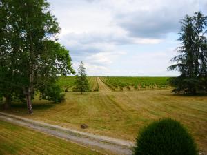 Villas Maison bourgeoise dans un vignoble : photos des chambres