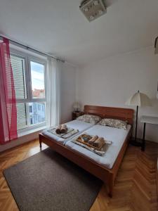 Apartma Roman