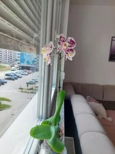 Apartman Andrea - 卢卡维卡