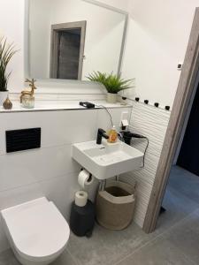 Bergliebe Sankt Andreasberg