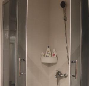 Renovated Apartment with Jacuzzi in Novi Sad