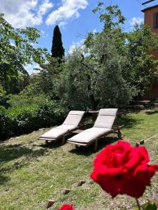 La Terrazza di Ciro Pinsuti