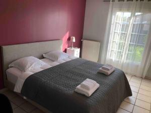 Villas Villa Bonheur secteur Blagnac 9 pers Netflix Wifi : photos des chambres
