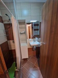 Green life, Bansko, private studio c-17