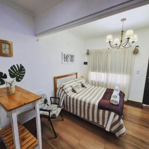 Room Center monoambiente estudio en pleno centro