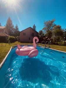 Family-friendly apartments with swimming pool Plaski, Velebit - 20466