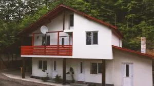 Pensiunea Dana-Maria - 内霍瓦