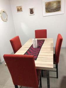 Experiencia Mendoza!! Bodegas y Montañas!