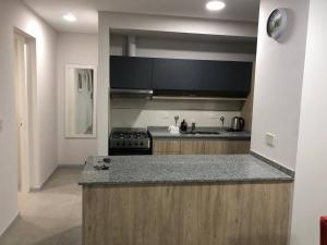 Experiencia Mendoza!! Bodegas y Montañas!