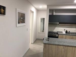 Experiencia Mendoza!! Bodegas y Montañas!