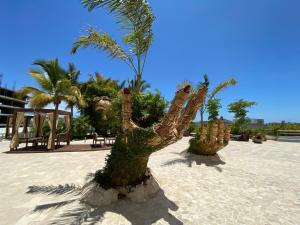 Lujoso y Exclusivo Condominio Marina Platino Plus I