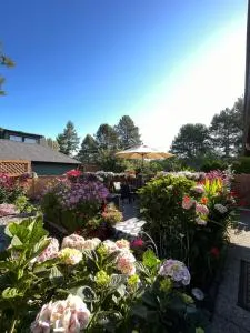 Garden home in Victoria -Beautiful home in Victoria - Victoria