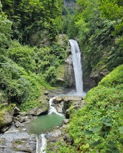 Guest house lagodekhi