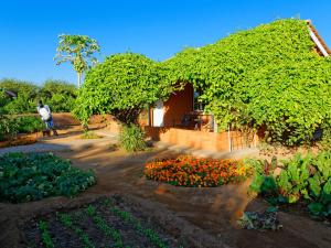 Gondwana Damara Mopane Lodge