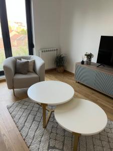 Plava Zvezda Centar Free Garage