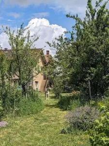 Relax in the Haute Vienne. - Aixe-sur-Vienne