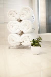 Festa Apartments & Rooms