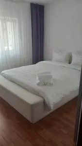Apartament Brasov - Noua