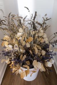 Apartment Ivana Krško 