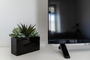 Apartment Ivana Krško