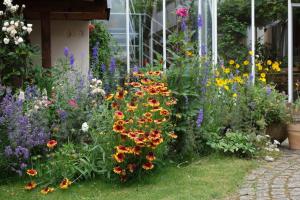 Traumblick Rebenmeer