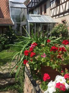 Traumblick Rebenmeer