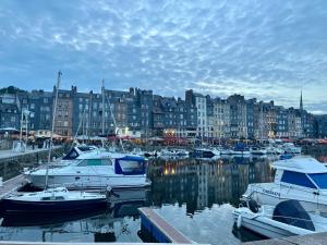 Maisons d'hotes Le Grenier d'Ouilly au coeur du Pays d Auge - Piscine exterieure : photos des chambres