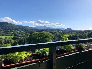 Cozy Apartment with a wonderful Panoramic View - Ubytování bez kategorie ve městě Schiefling am See